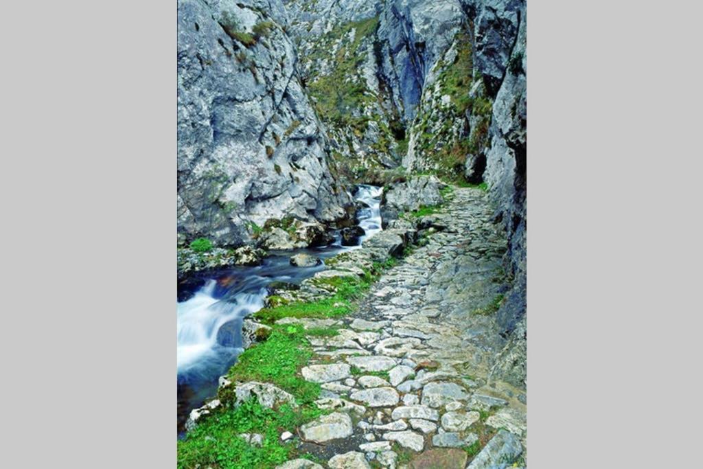 Los Molinos - Atico En Montana De Asturias Felechosa Exterior photo